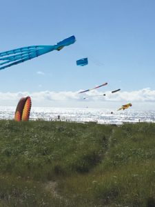 Kites on Long Beach